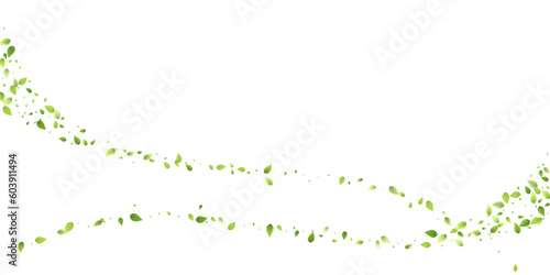 Leaves Green Falling Flying Foliage Leaf Tea Mint