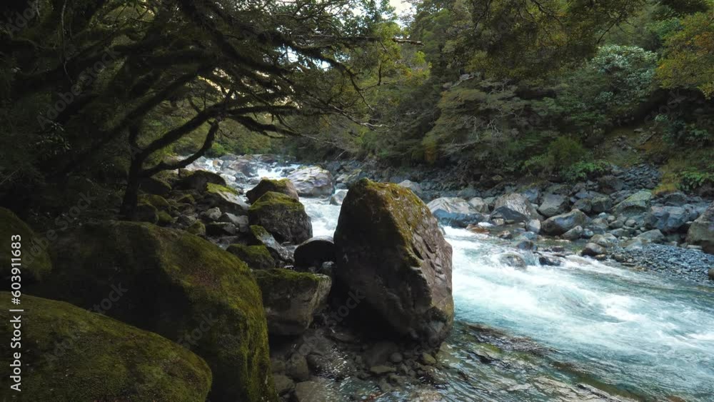 Glacial river in Fiordland National Park, travel in New Zealand South Island Glacial river in Fiordland National Park, travel in New Zealand South Island