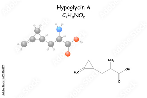 Stylized molecule model/structural formula of Hypoglycin A. Causes poisoning when consuming akee or unripe lychees.