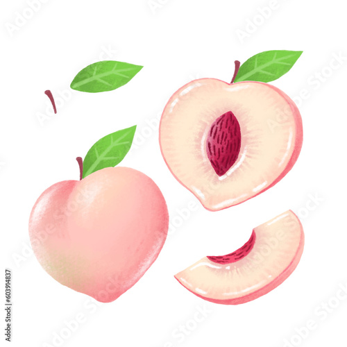 Fresh Pink Heart Peach, Peaches. hand drawn illustration, isolated on white background