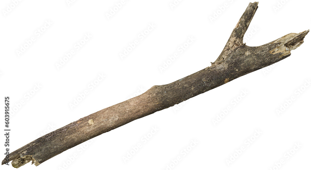 Dry branch tree naturally. Dry branch tree naturally.