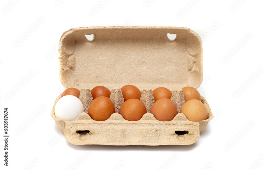egg carton with chicken eggs