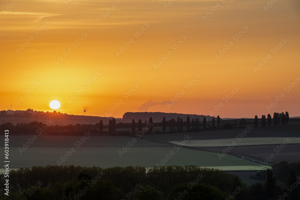 Sunrise in spring time with the silhouette of the typical Tuscan Poplar trees in a line alongside a road during the golden hour and the sun on the horizon.