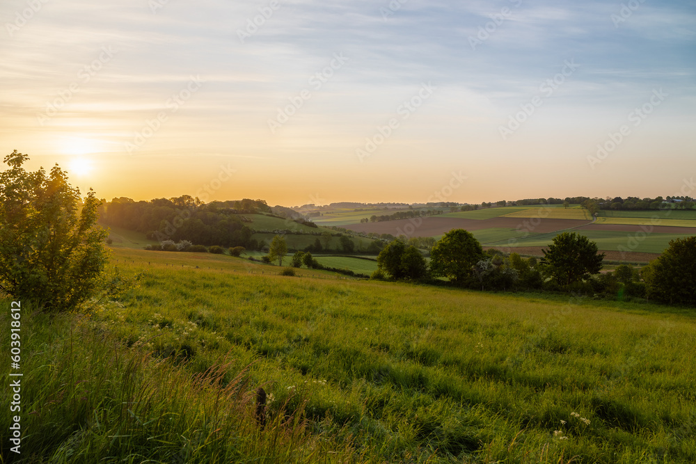 Golden hour during sunrise over the rolling hills of the Dutch province of Limburg near the village of Fromberg (English: Fromberg), a typical region for agricultural activities