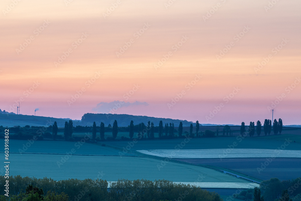 Sunrise in spring time with the silhouette of the typical Tuscan Poplar trees in a line alongside a road during the golden hour and the sun on the horizon.