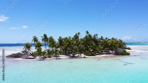 Aerial video of palm trees on a tropical island in French Polynesia  photo