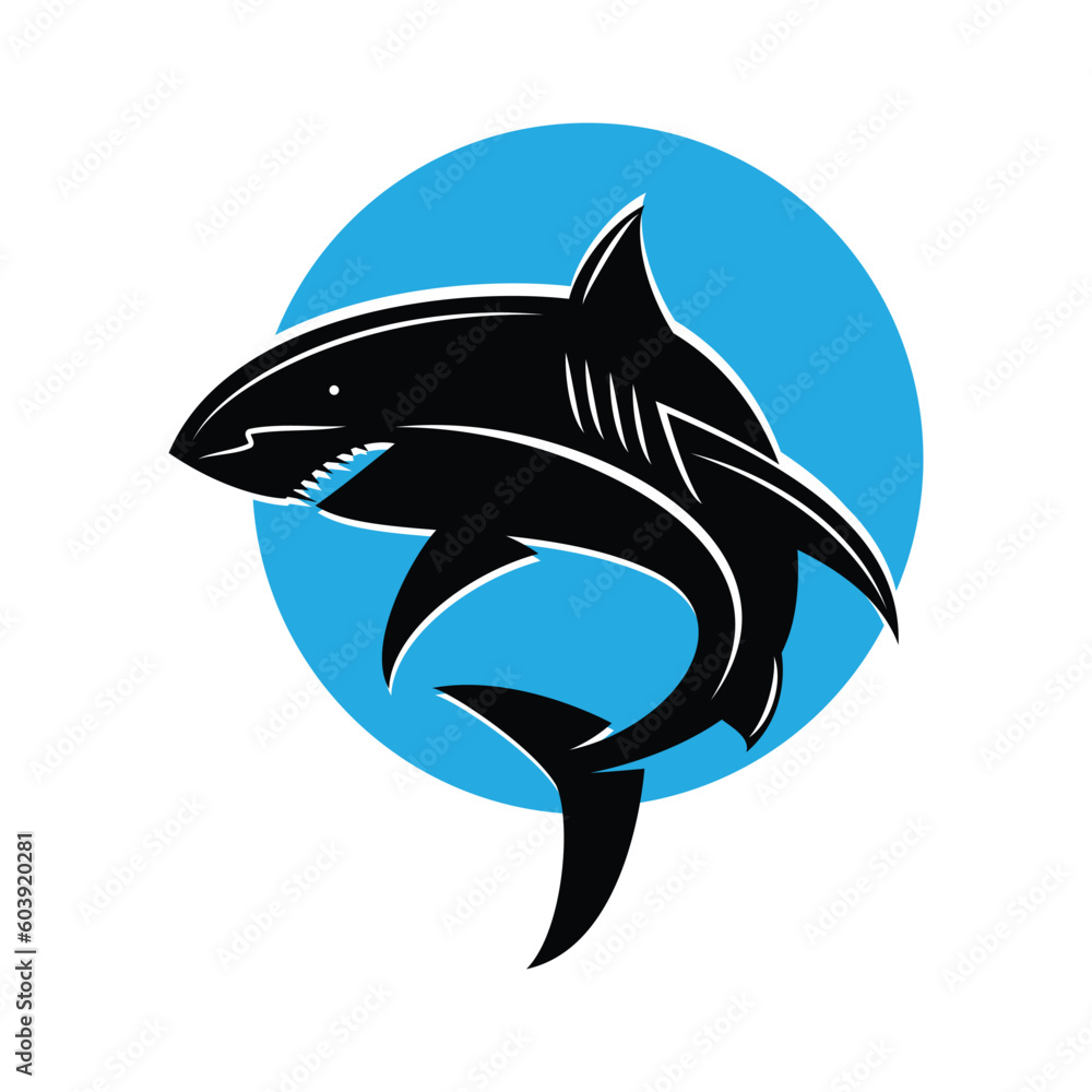 Shark illustration Shark illustration