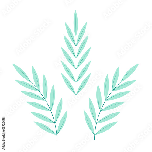 A set of sprigs with long mint, green leaves, isolated, on a transparent and white background. Elements for design decoration. Vector illustration, image, graphic design.