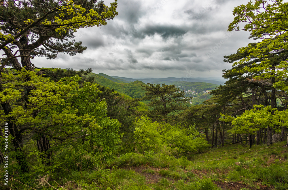 Ausblick auf den Wienerwald in der Nähe von Perchtholdsdorf in Niederösterreich Ausblick auf den Wienerwald in der Nähe von Perchtholdsdorf in Niederösterreich