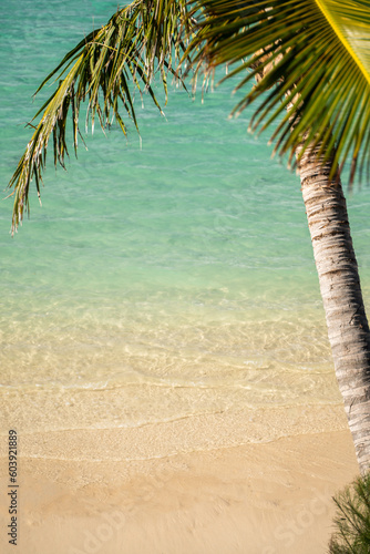 Fototapeta Naklejka Na Ścianę i Meble -  Luxury hotel resort in Rarotonga, Cook Islands with crystal clear blue waters