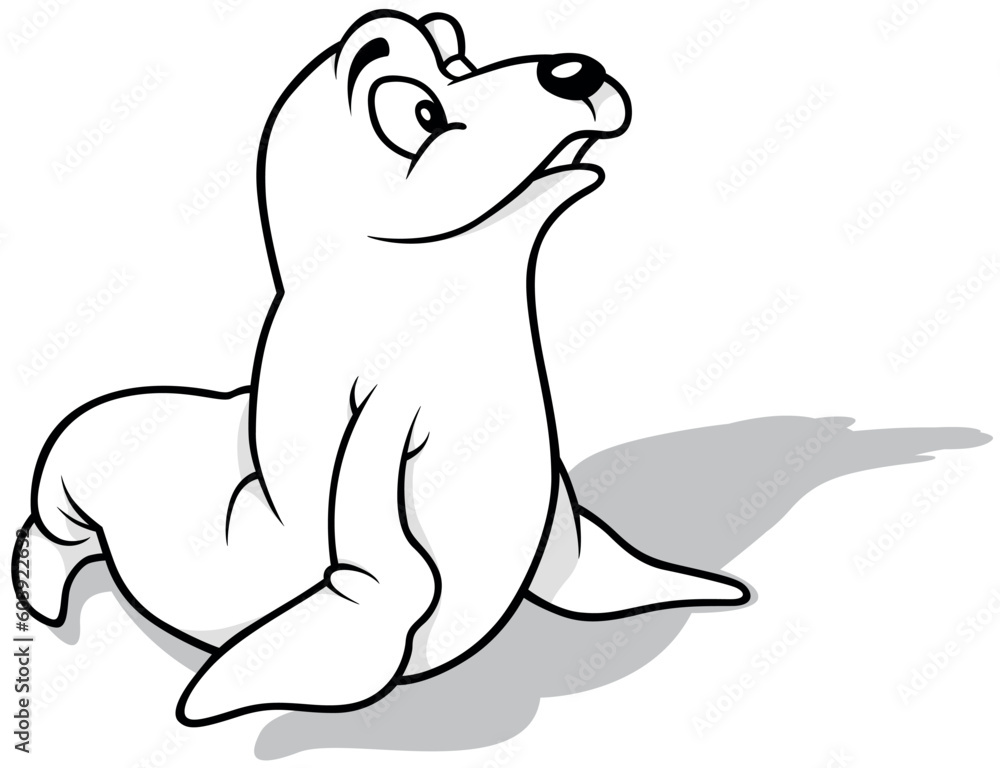 Drawing of a Cute Curious Sea Lion Drawing of a Cute Curious Sea Lion