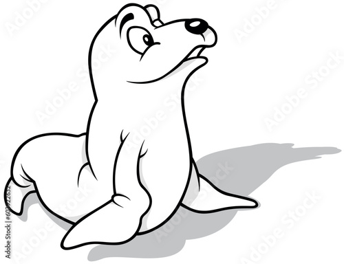 Drawing of a Cute Curious Sea Lion