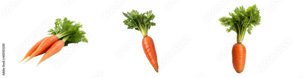 Set of carrot isolated on transparent background Set of carrot isolated on transparent background