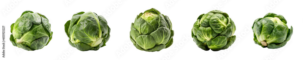 Set of brussel sprouts isolated on transparent background Set of brussel sprouts isolated on transparent background
