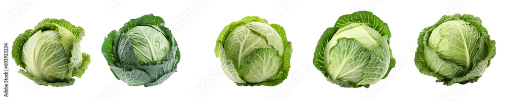 Set of cabbage isolated on transparent background Set of cabbage isolated on transparent background