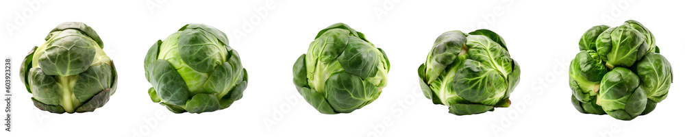 Set of brussel sprouts isolated on transparent background Set of brussel sprouts isolated on transparent background