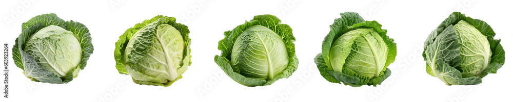 Fototapeta premium Set of cabbage isolated on transparent background 