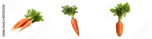 Set of carrot isolated on transparent background	