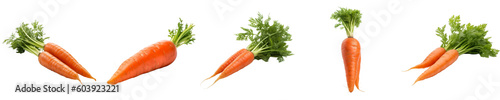 Set of carrot isolated on transparent background	 photo