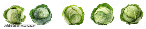 Set of cabbage isolated on transparent background	