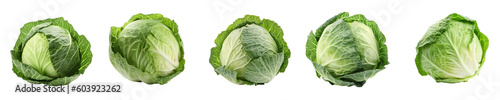 Set of cabbage isolated on transparent background  © Awesomextra