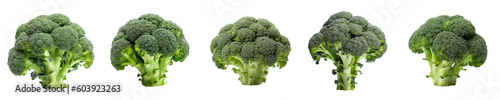 Set of broccoli isolated on transparent background	