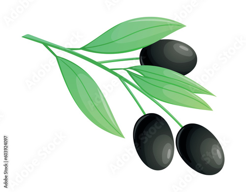 Vector cartoon isolated Olive branch with black berries and leaves.