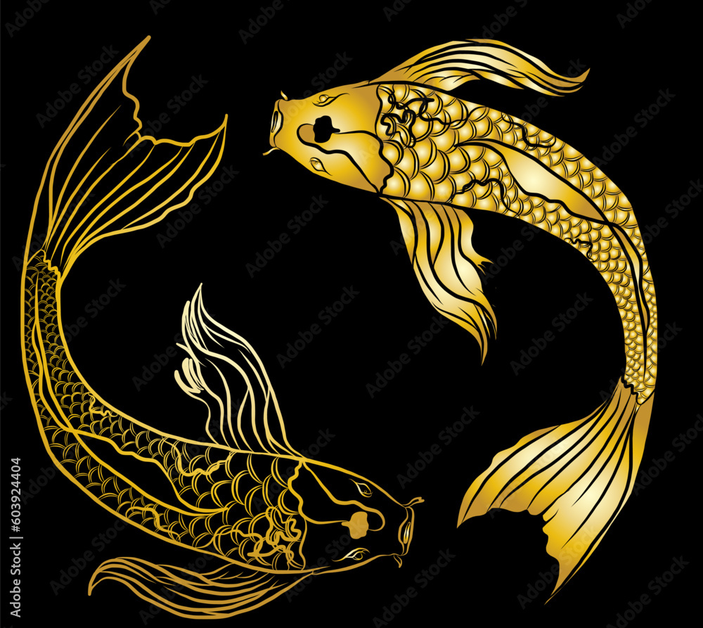 Beautiful line art of gold fish vector illustration.Koi fish for printing on shirt on white isolated background.
