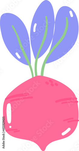 Cute colorful beetroot radish vegetable organic simple flat vector