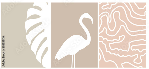 collection of modern simple minimalistic boho style abstracts with flamingo silhouette, monstera leaf, and white lines on color background