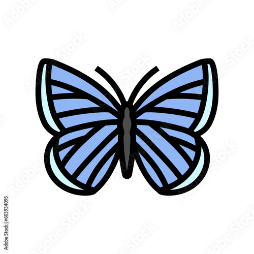 spring azure insect color icon vector. spring azure insect sign. isolated symbol illustration