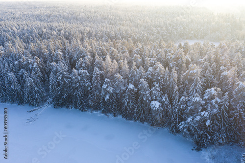 Wallpaper Mural Beautiful winter drone aerial landscape photo - snowy frozen trees and lake on sunset time, Poland, Suwalszczyzna Torontodigital.ca