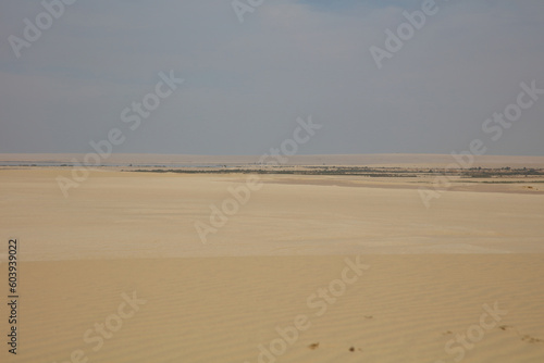 desert and sand on an over casted weather