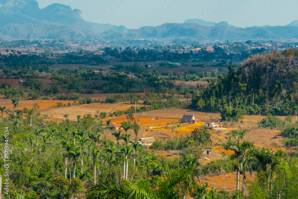 The Vinales valley with the Mogotes from the mirador de Los Jazmines in Cuba