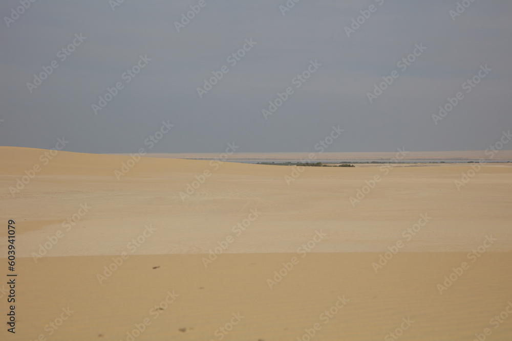 desert and sand on an over casted weather desert and sand on an over casted weather