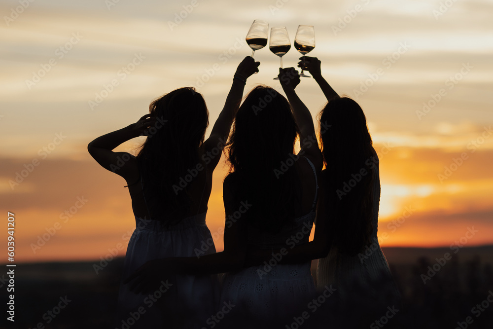 Silhouette of group of girlfriends on picnic party with wine in hands at amazing sunset.