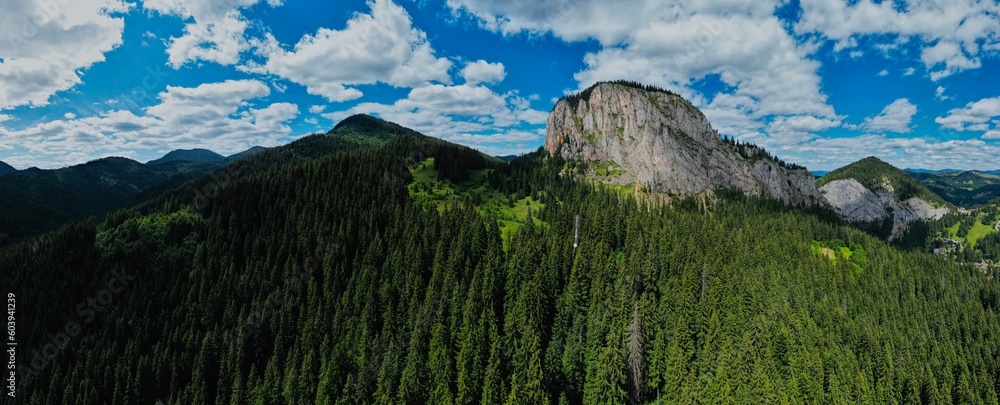 Landscape with forest, blue sky with clouds and mountain in front. Beautiful nature scenery with perfect cloudy sky in sunny day. Drone photo
