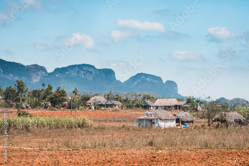 Farm for organic tobacco farming in the region of Vinales in Cuba.