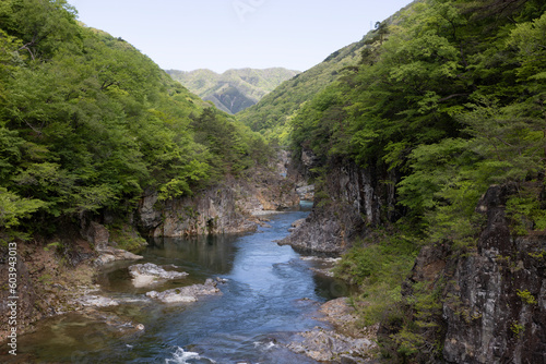 Ryuokyo, the ravine at the upper kinugawa river in Tochigi prefecture, japan photo