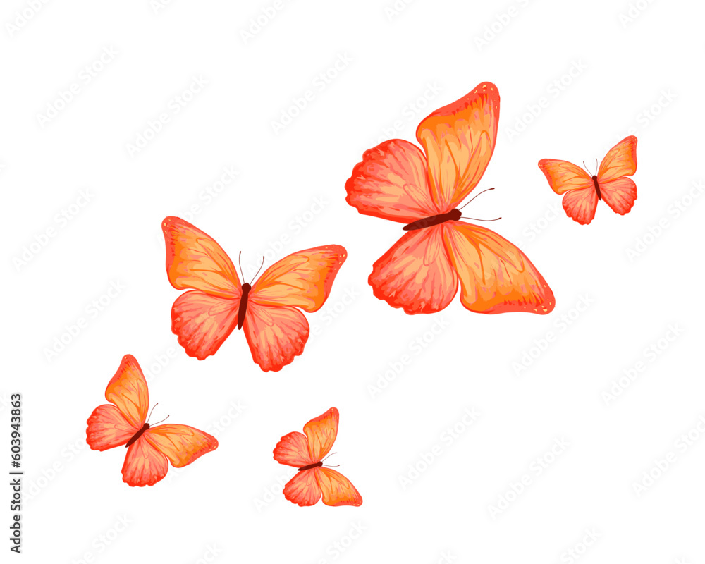 butterfly hand drawndesign vector butterfly hand drawndesign vector
