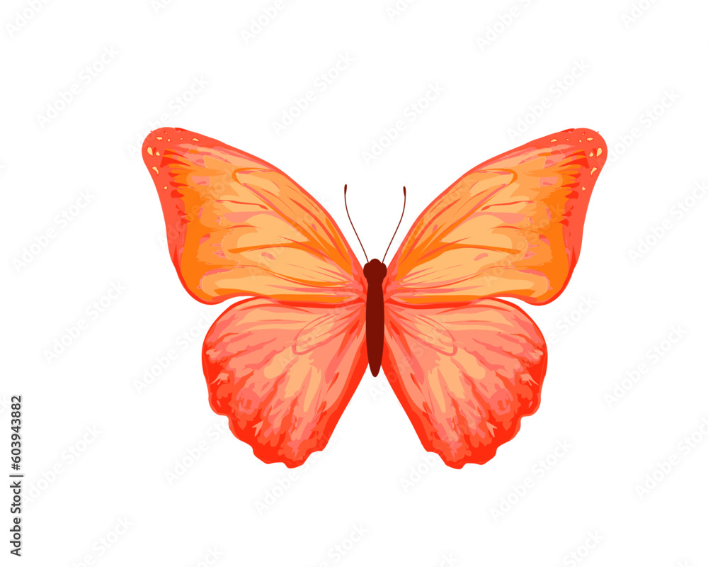 Fototapeta premium watercolor butterfly hand drawn design vector