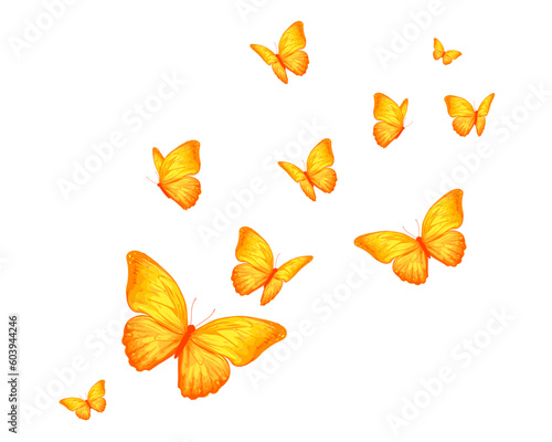 Photography watercolor butterfly hand drawn design vector
