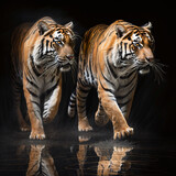Generative AI: Hyper realistic tigers walking in the dark