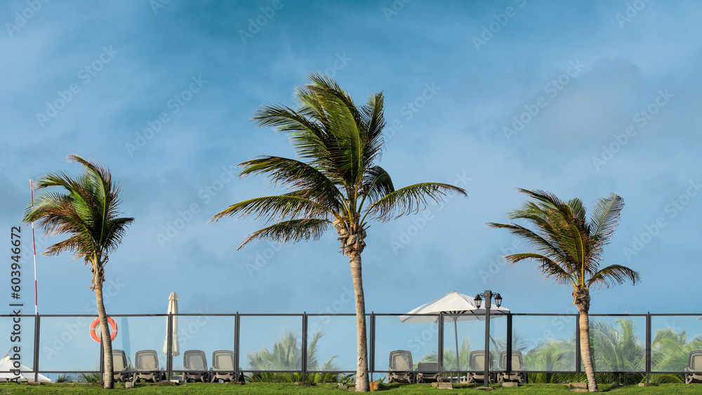 Sun lounger, beach umbrella and beautiful palm trees nearby. Great place to relax during vacations. Luxury hotel on tropical beach. Sea storm with rain and tornado on tropical beach with palm trees. Sun lounger, beach umbrella and beautiful palm trees nearby. Great place to relax during vacations. Luxury hotel on tropical beach. Sea storm with rain and tornado on tropical beach with palm trees.