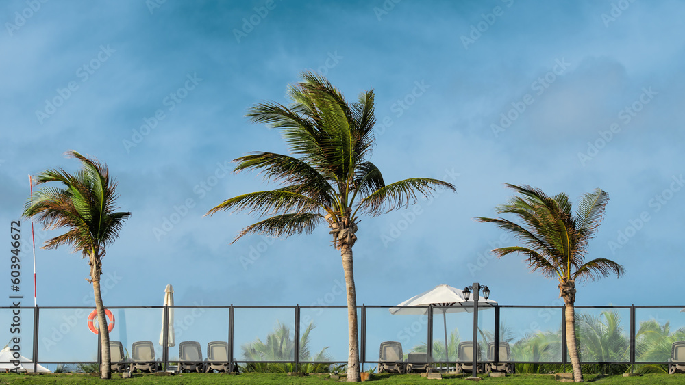 Sun lounger, beach umbrella and beautiful palm trees nearby. Great place to relax during vacations. Luxury hotel on tropical beach. Sea storm with rain and tornado on tropical beach with palm trees.