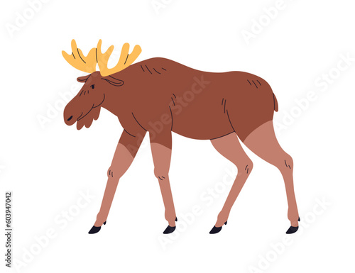 Elk, wild forest animal with horns. Big European, American mammal, walking, s...