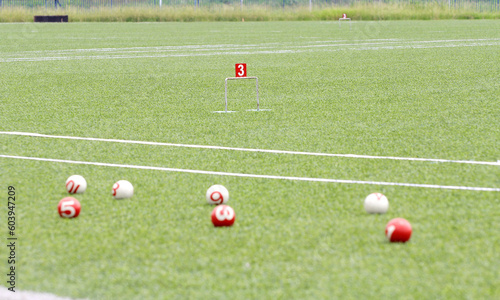 Play Sports Gateball on lawn.