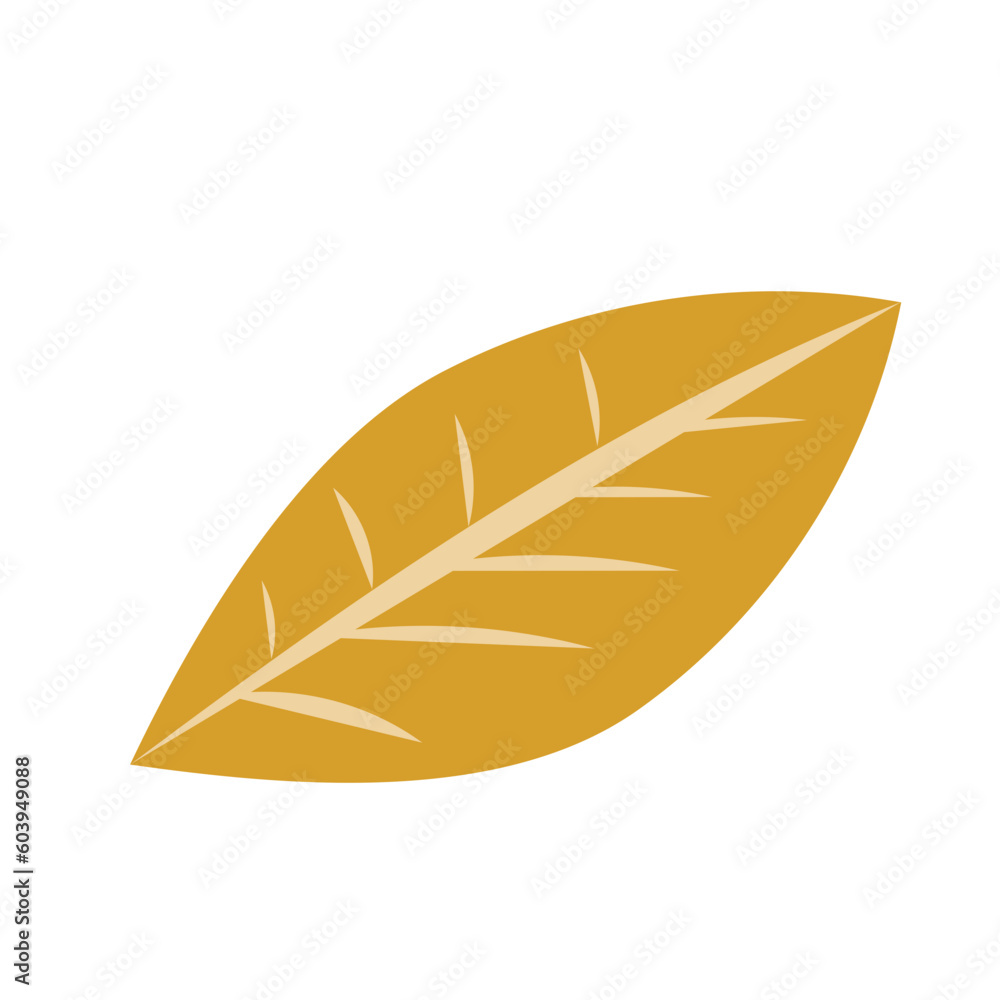 Autumn Leaf Illustration Autumn Leaf Illustration