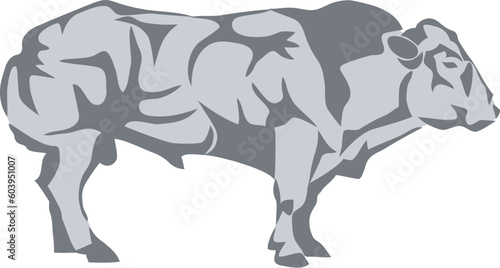 Belgian cattle bull - vector illustration