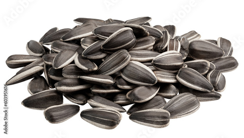 sunflower seed, isolated on white background, full depth of field photo